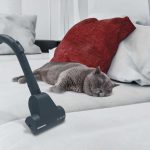 Hoover Khross KS50PET 550 W Toz Torbasız Elektrikli Süpürge, Kırmızı - Görsel 9
