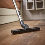 Polti Forzaspira Lecologico Parke Fırçası - Görsel 2