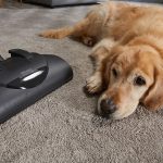 Miele SEB 228 Electro Plus Zemin Başlığı - Görsel 5