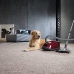 Miele Complete C3 Cat&Dog PowerLine SGEF3 890 W Toz Torbalı Elektrikli Süpürge, Kırmızı - Görsel 8