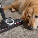 Miele Complete C3 Cat&Dog PowerLine SGEF3 890 W Toz Torbalı Elektrikli Süpürge, Kırmızı - Görsel 7