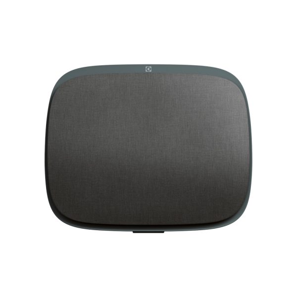 Pure A9 Yeşil Hava Temizleme