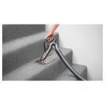 Dyson Cinetic Big Ball Animal Pro 2