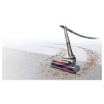 Dyson Cinetic Big Ball Animal Pro 2