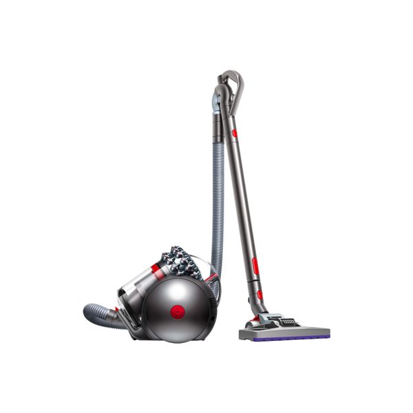 Dyson Cinetic Big Ball Animal Pro 2
