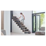 Dyson Cinetic Big Ball Animal Pro 2