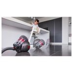 Dyson Cinetic Big Ball Animal Pro 2