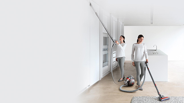 Dyson Cinetic Big Ball Animal Pro 2
